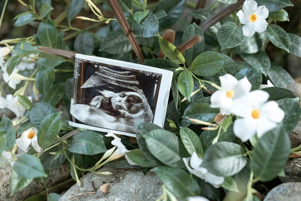 An ultrasound print nestled among green leaves and white flowers, symbolizing new beginnings.